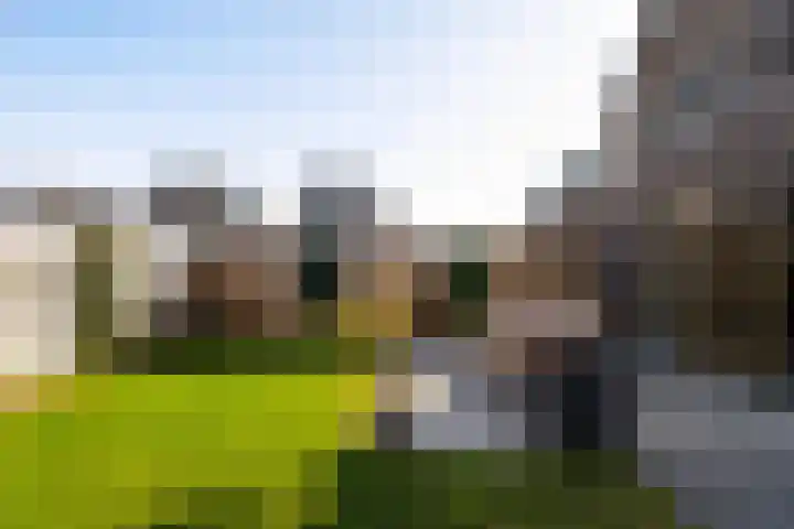 Sleutelbloem 99 Leek thumbnail 39