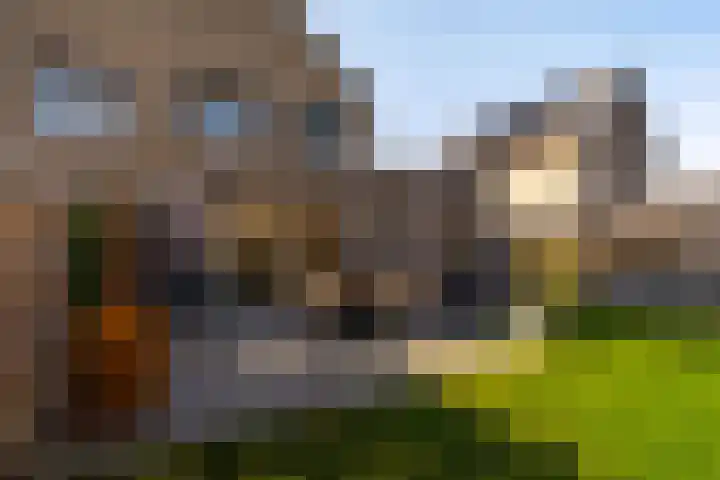 Sleutelbloem 99 Leek thumbnail 5