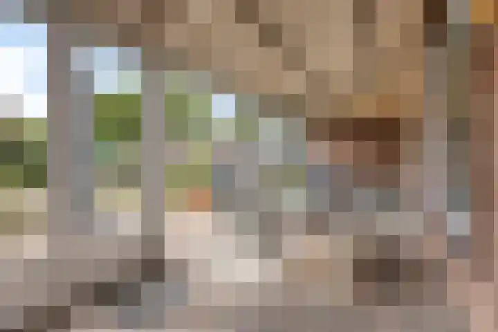 Sleutelbloemdreef 14 Herkenbosch thumbnail 15
