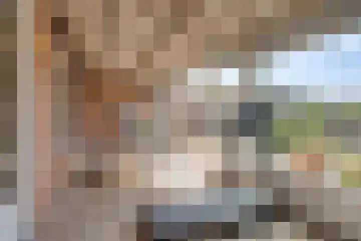 Sleutelbloemdreef 14 Herkenbosch thumbnail 16