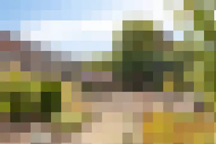 Sleutelbloemdreef 14 Herkenbosch thumbnail 26