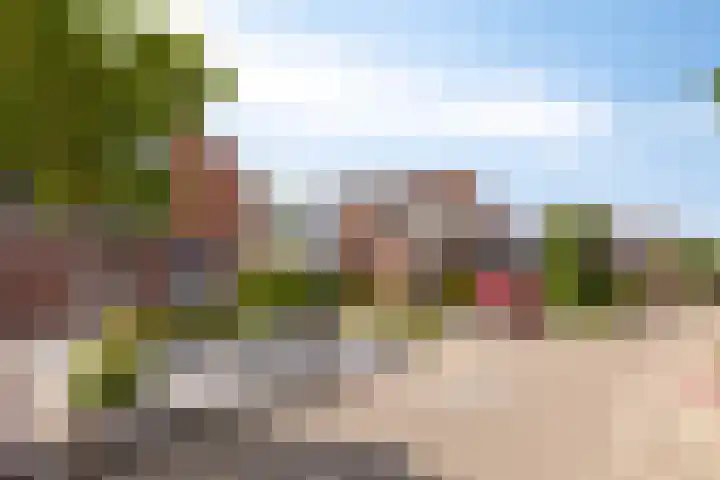 Sleutelbloemdreef 14 Herkenbosch thumbnail 30