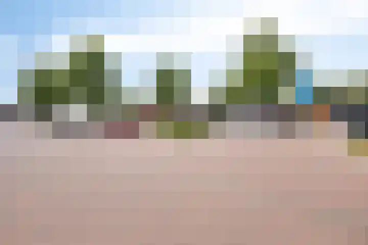 Sleutelbloemdreef 14 Herkenbosch thumbnail 33