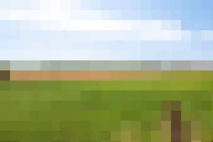 Sleutelbloemdreef 14 Herkenbosch thumbnail 35