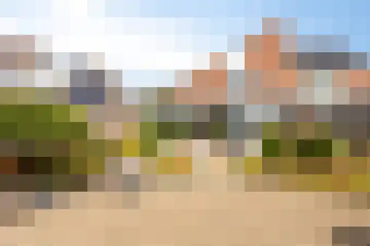 Sleutelbloemdreef 14 Herkenbosch thumbnail 4