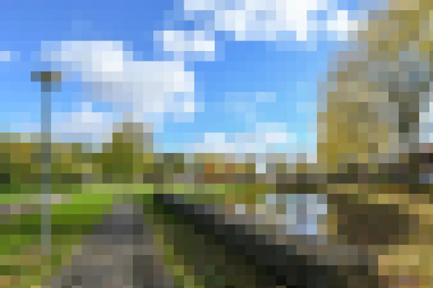 Sleutelbloemstraat 1 Weert thumbnail 31