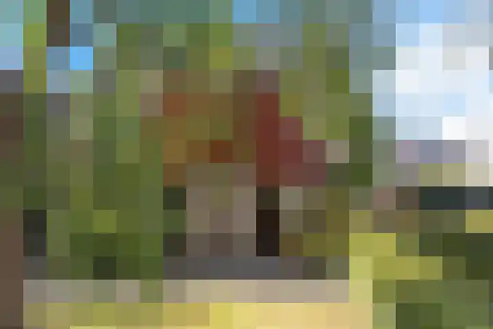 Sleutelbloemstraat 16 Assen