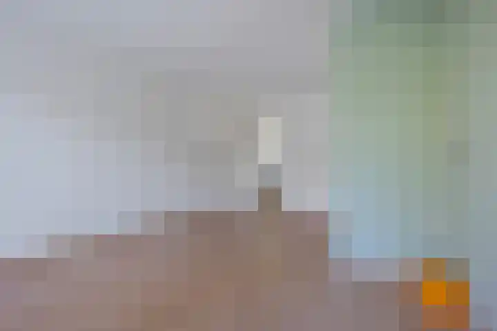 Sleutelbloemstraat 16 Assen thumbnail 10