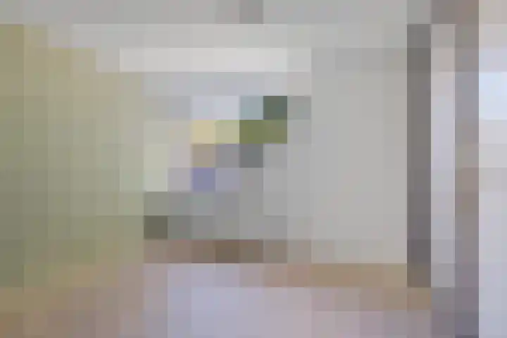 Sleutelbloemstraat 16 Assen thumbnail 21