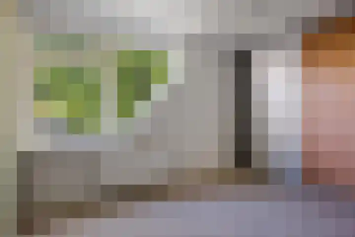 Sleutelbloemstraat 16 Assen thumbnail 22