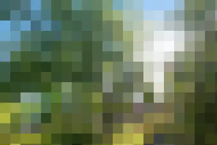 Sleutelbloemstraat 16 Assen thumbnail 27