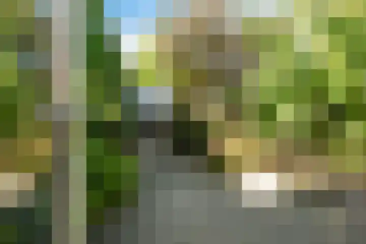 Sleutelbloemstraat 16 Assen thumbnail 29