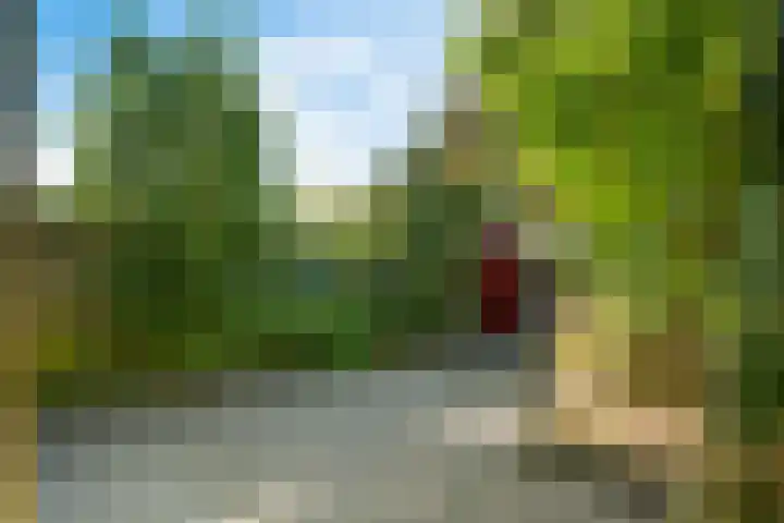 Sleutelbloemstraat 16 Assen thumbnail 31