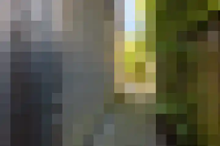 Sleutelbloemstraat 16 Assen thumbnail 32
