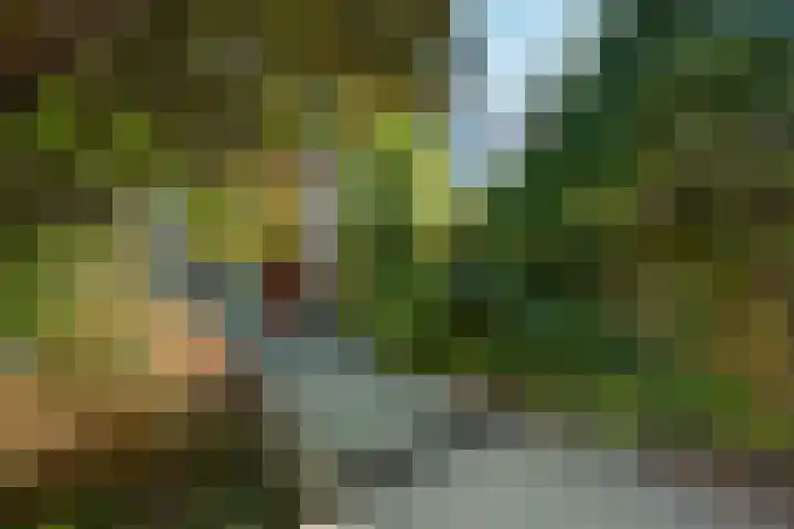 Sleutelbloemstraat 16 Assen thumbnail 33