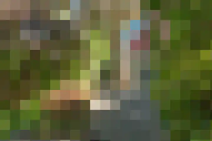Sleutelbloemstraat 16 Assen thumbnail 34