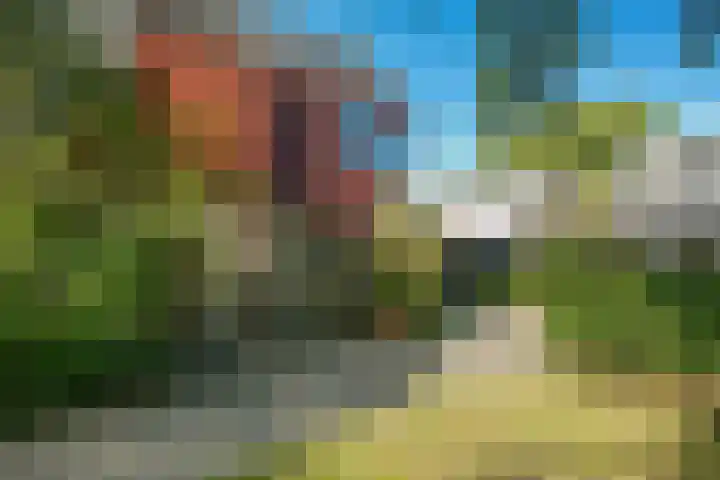 Sleutelbloemstraat 16 Assen thumbnail 36