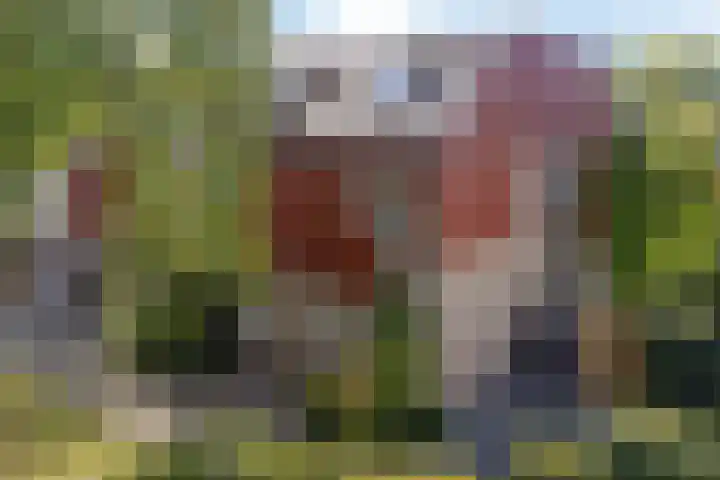 Sleutelbloemstraat 16 Assen thumbnail 37