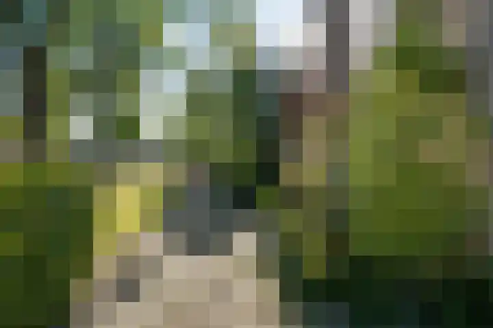 Sleutelbloemstraat 16 Assen thumbnail 38