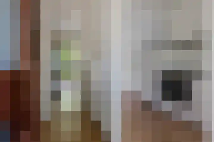 Sleutelbloemstraat 16 Assen thumbnail 4