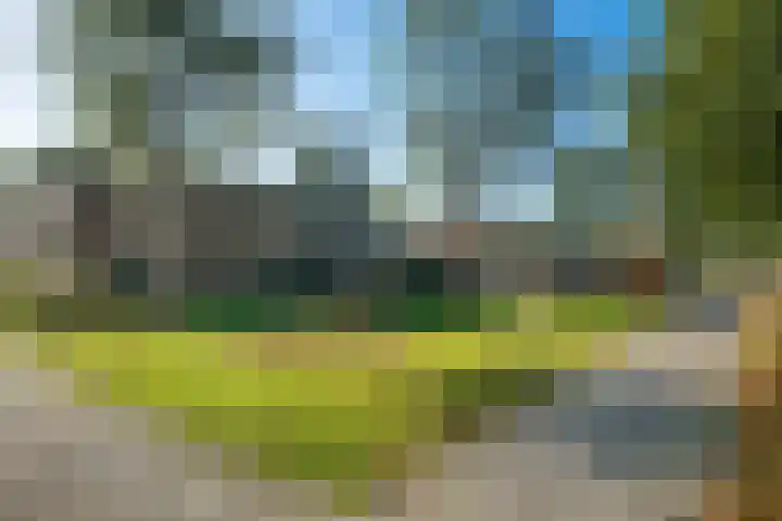 Sleutelbloemstraat 16 Assen thumbnail 40