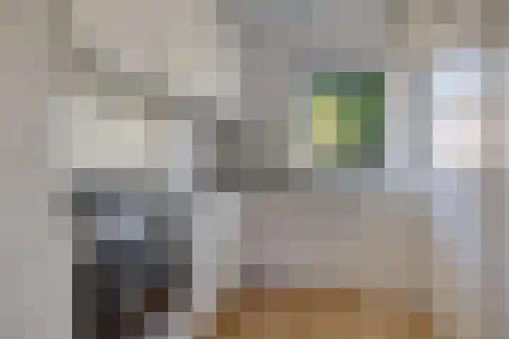 Sleutelbloemstraat 16 Assen thumbnail 6
