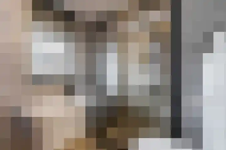 Sleutelbloemstraat 19 Nederhemert thumbnail 26