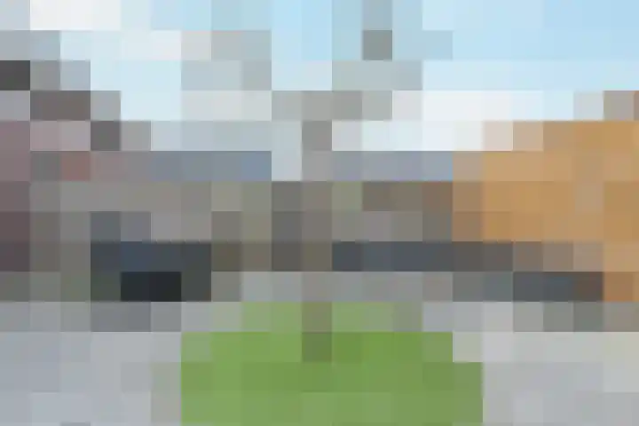 Sleutelbloemstraat 19 Nederhemert thumbnail 35