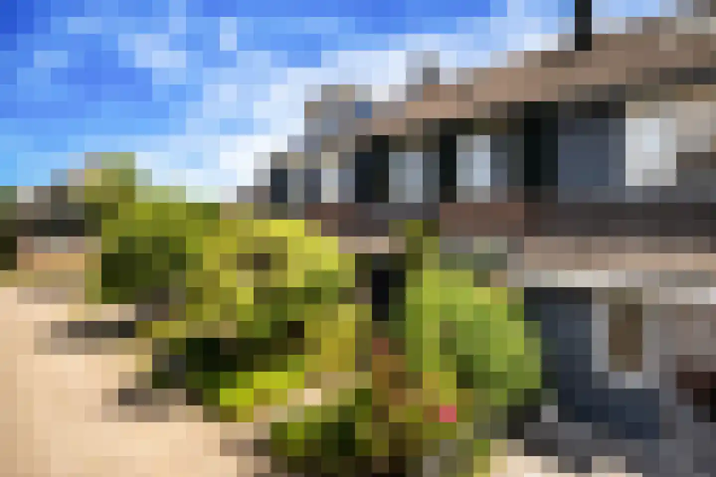 Sleutelbloemstraat 3 Klaaswaal thumbnail 41