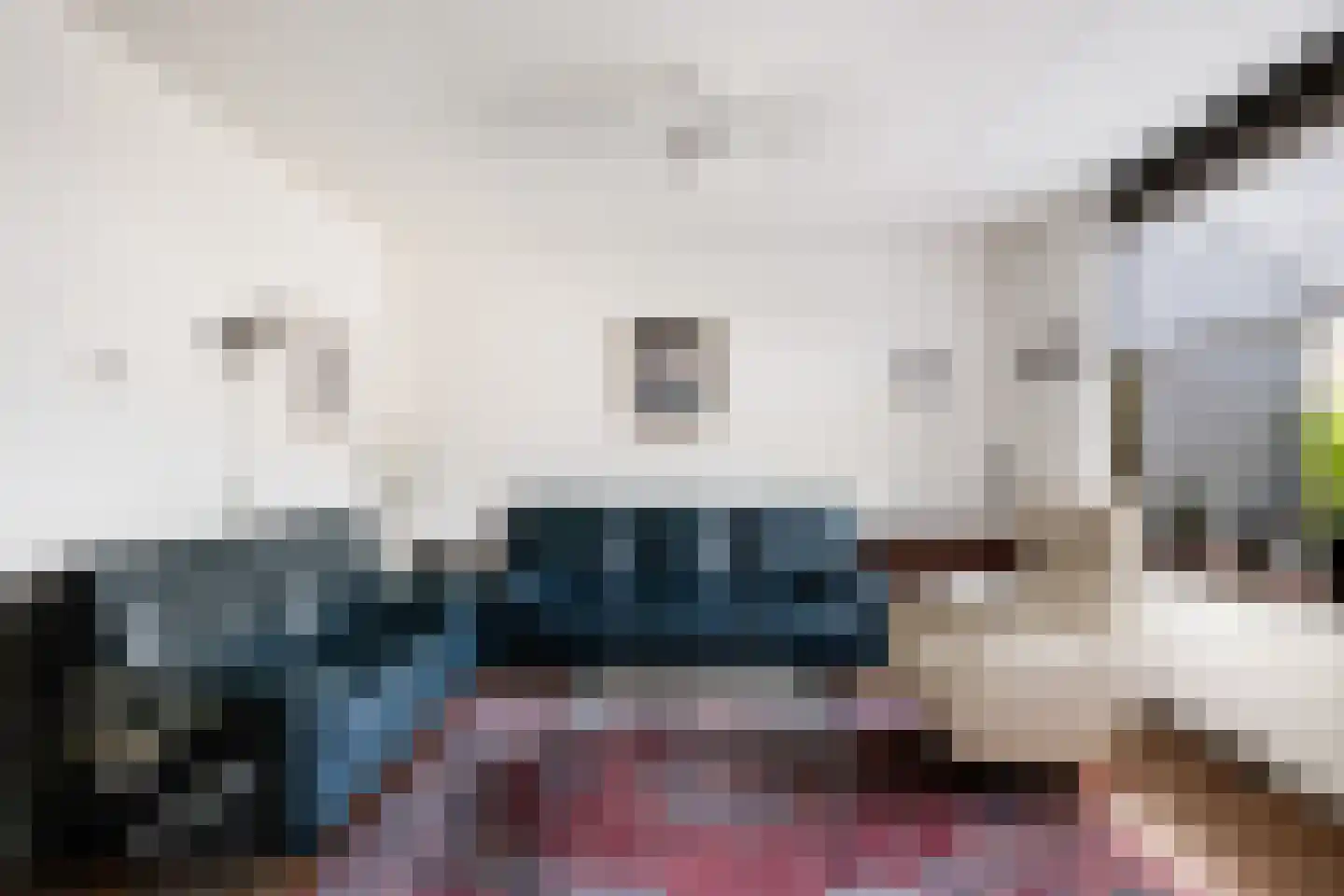Sleutelbloemstraat 3 Klaaswaal thumbnail 5