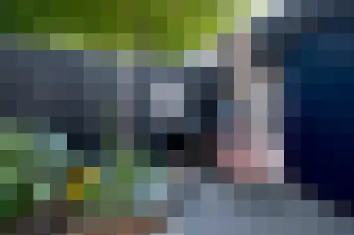 Sleutelbloemstraat 38 Assen thumbnail 34