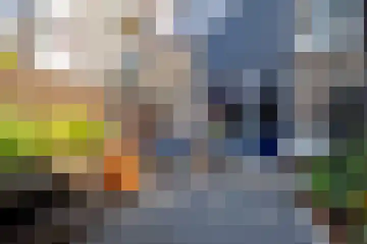 Sleutelbloemstraat 38 Assen thumbnail 37