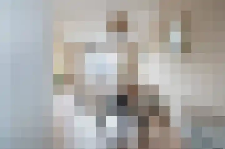 Sleutelbloemstraat 38 Assen thumbnail 4
