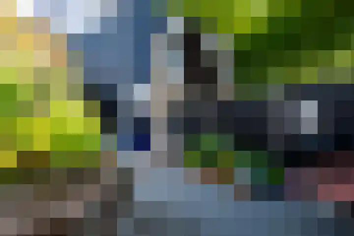 Sleutelbloemstraat 38 Assen thumbnail 40