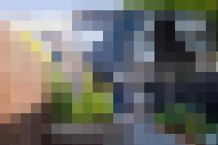 Sleutelbloemstraat 38 Assen thumbnail 41