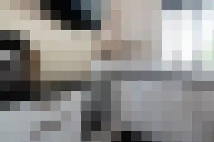 Sleutelbloemstraat 38 Assen thumbnail 7