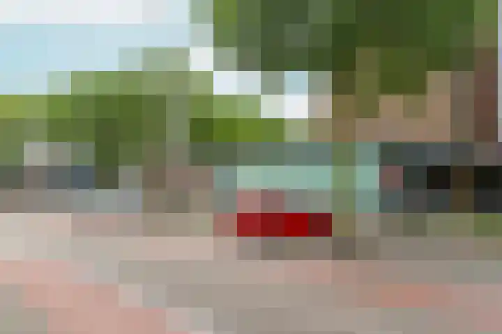 Sleutelbloemstraat 39 Arnhem thumbnail 20