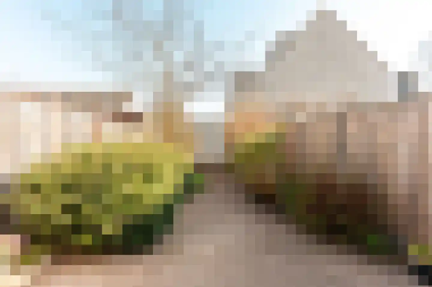 Sleutelbloemstraat 4 Almere thumbnail 31