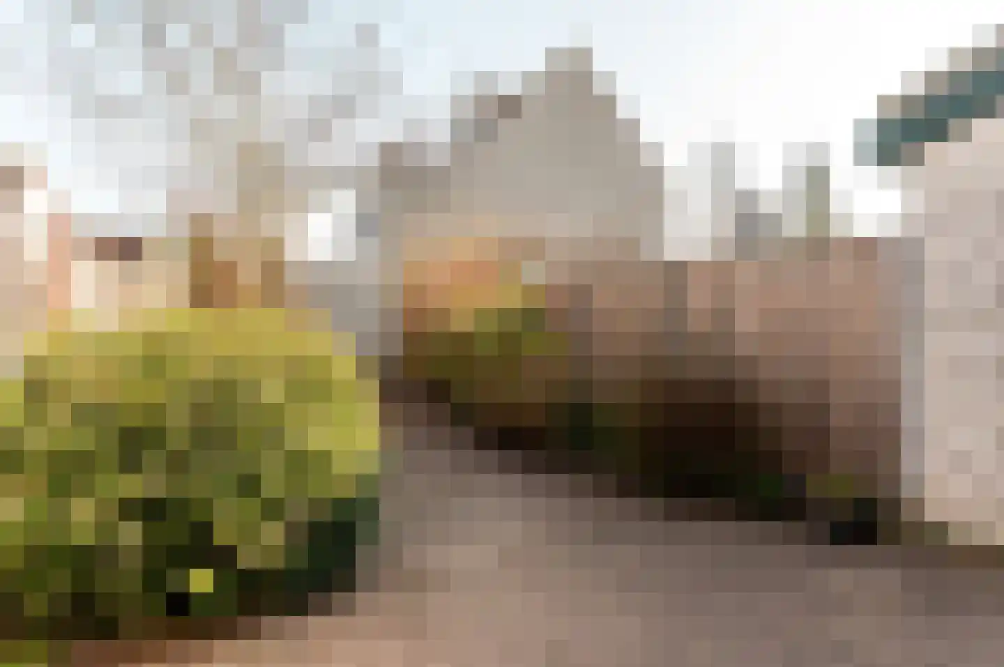 Sleutelbloemstraat 4 Almere thumbnail 33