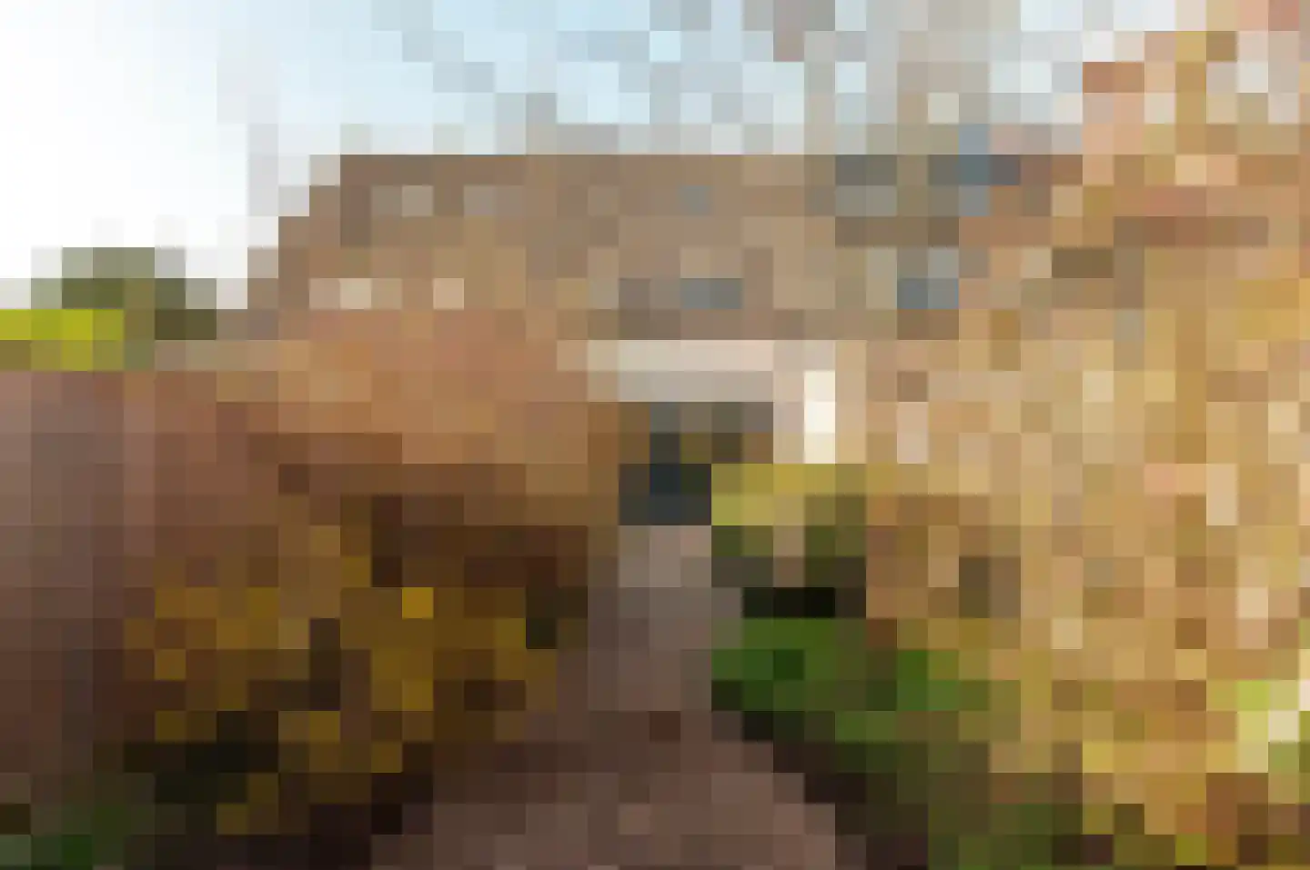 Sleutelbloemstraat 4 Almere thumbnail 35