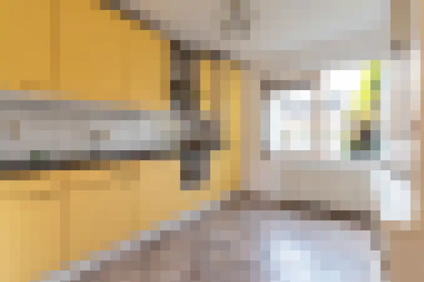 Sleutelbloemstraat 4 Almere thumbnail 9