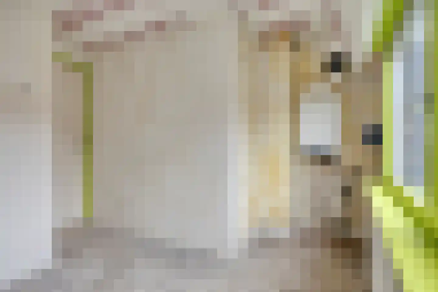 Sleutelbloemstraat 52 1 Amsterdam thumbnail 23