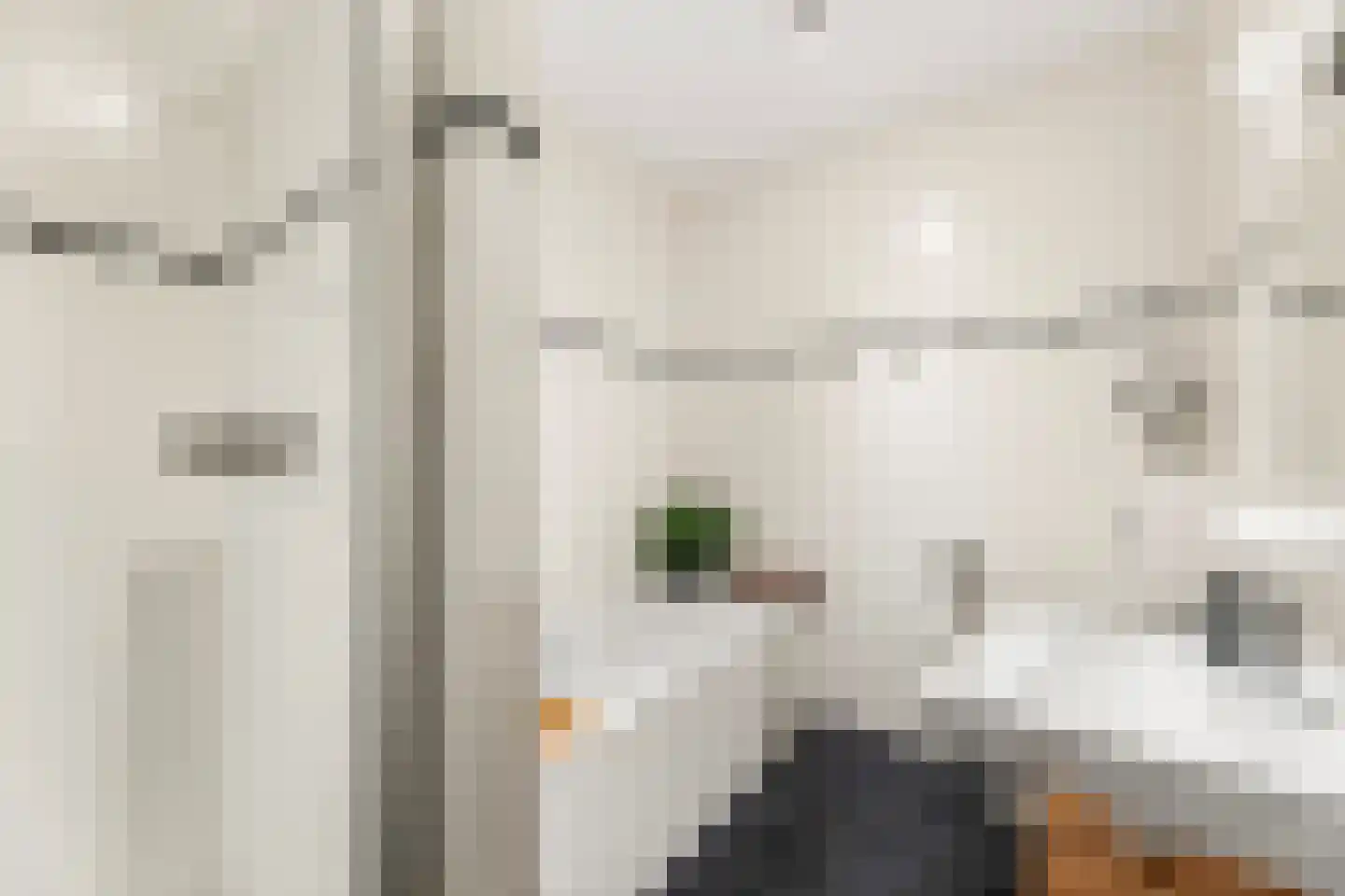 Sleutelbloemstraat 55 Heinkenszand thumbnail 11