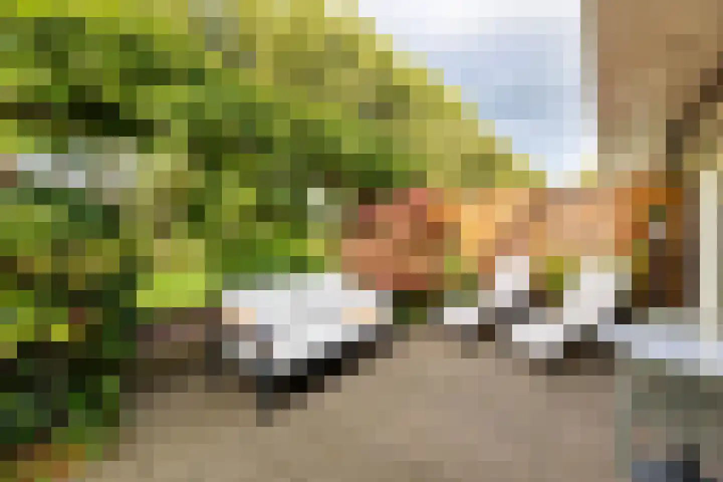 Sleutelbloemstraat 55 Heinkenszand thumbnail 20