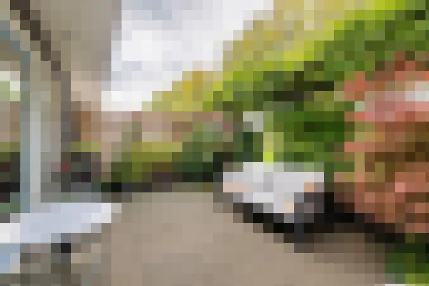 Sleutelbloemstraat 55 Heinkenszand thumbnail 21
