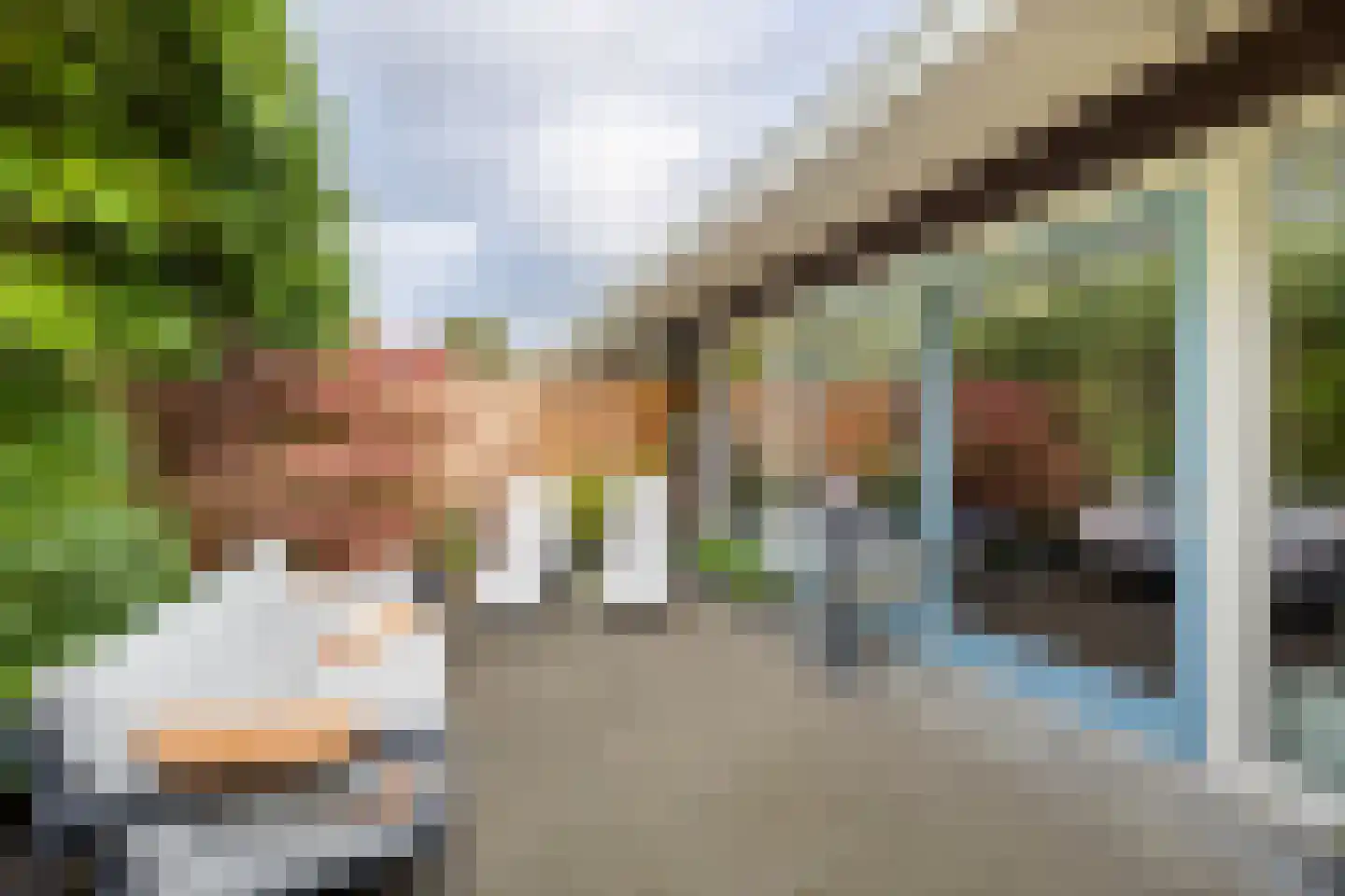 Sleutelbloemstraat 55 Heinkenszand thumbnail 23