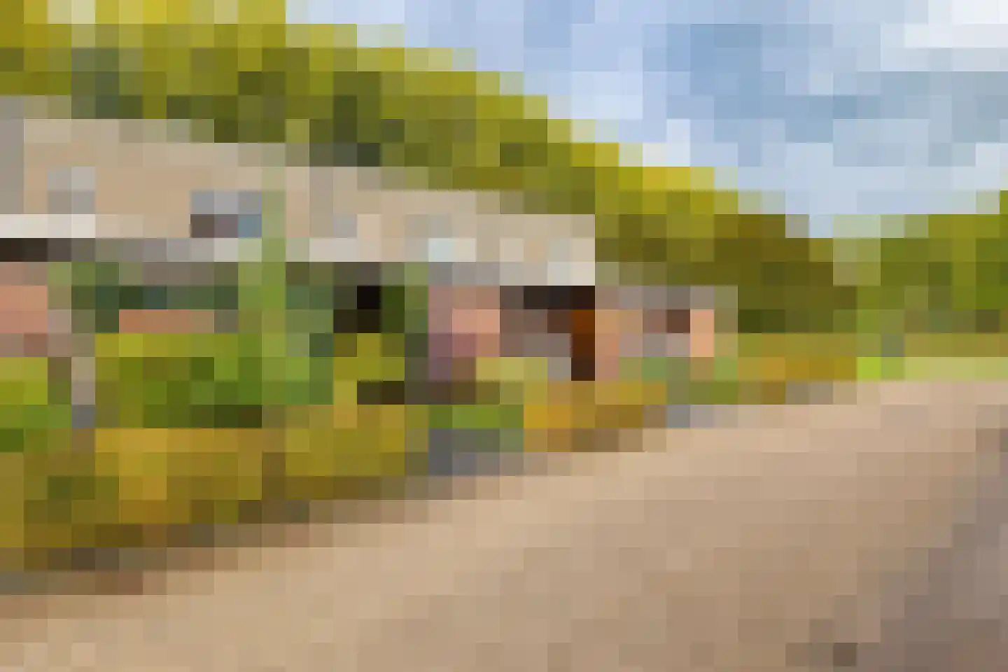 Sleutelbloemstraat 55 Heinkenszand thumbnail 36