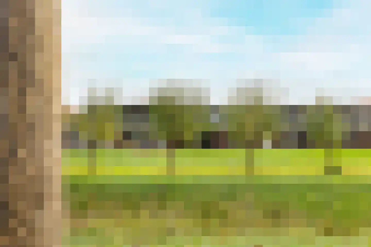 Sleutelbloemstraat 55 Heinkenszand thumbnail 39