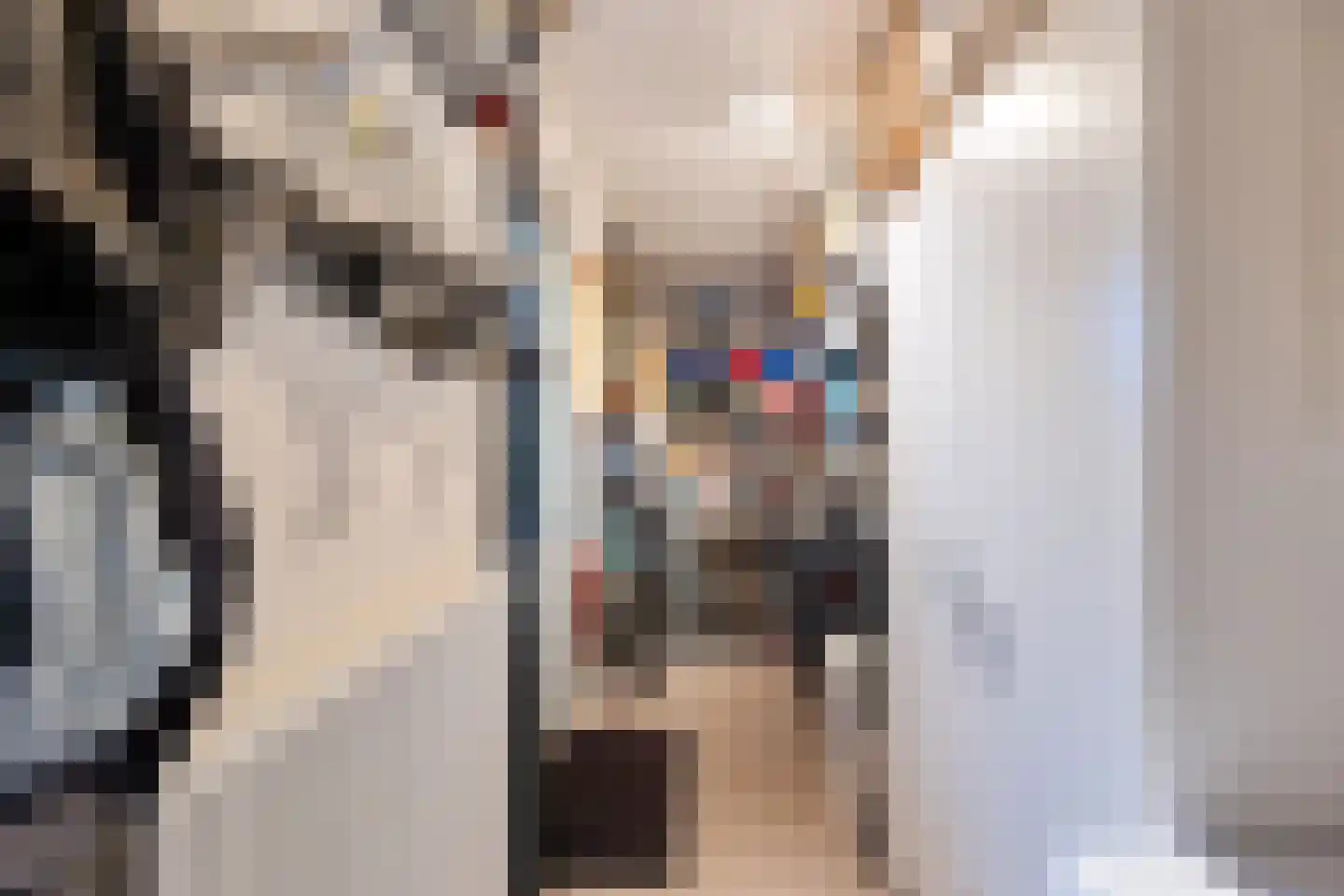 Sleutelbloemstraat 55 Heinkenszand thumbnail 5