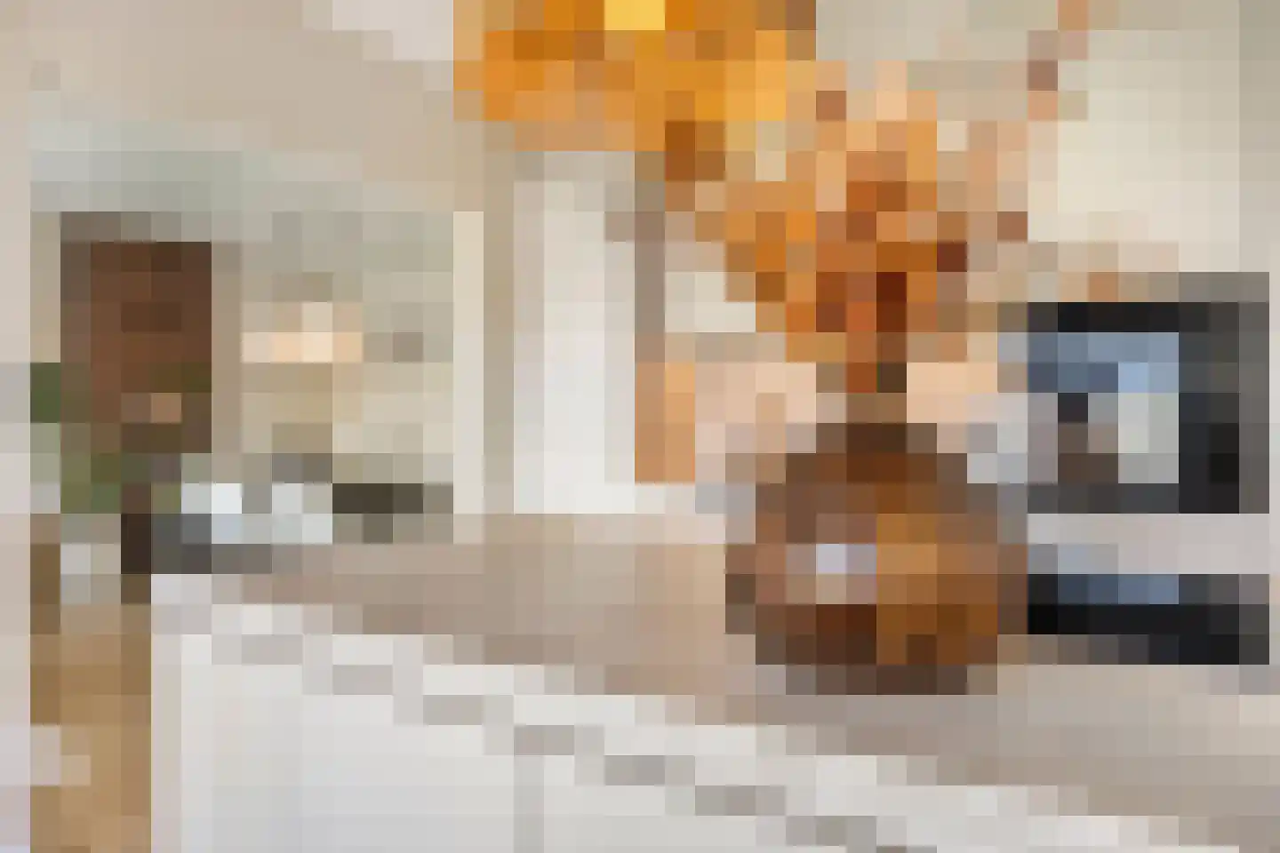 Sleutelbloemstraat 61 Arnhem thumbnail 21